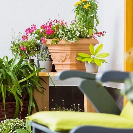 Wildgruen Panorama 1 公寓 *